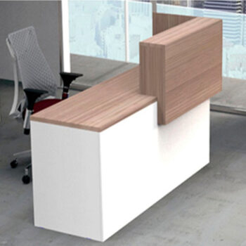 RESEPCION-VISSION-1