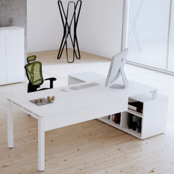 CONJUNTO-DIRECTIVO-MITTOS-1